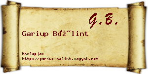 Gariup Bálint névjegykártya